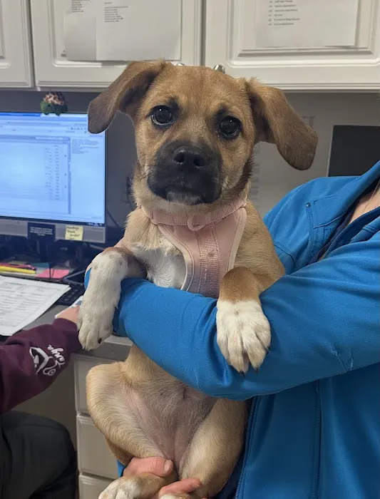 VCA Willow Mill Animal Hospital Picture 7