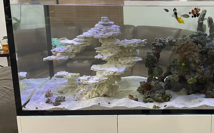 Reef Scape Designs Inc Picture 8