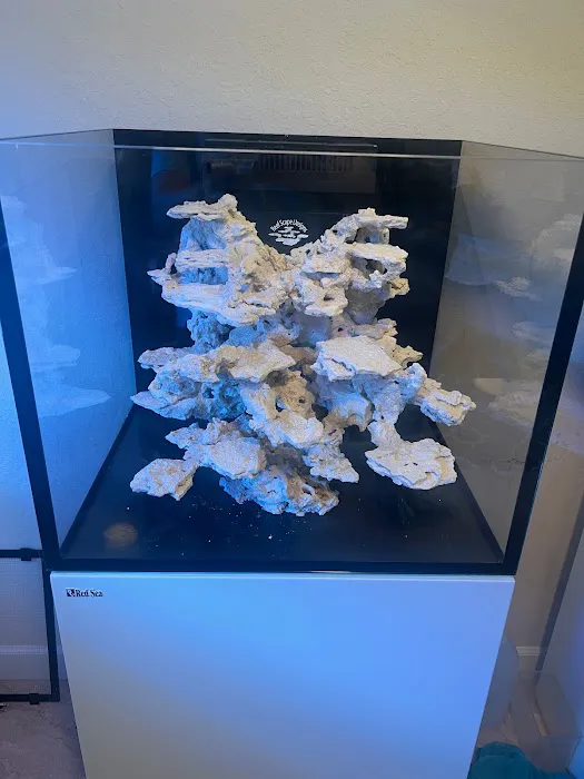 Reef Scape Designs Inc Picture 6