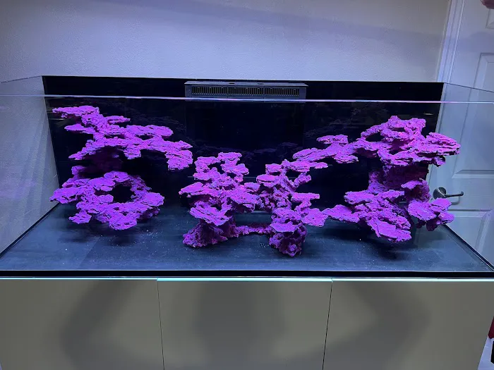 Reef Scape Designs Inc Picture 5