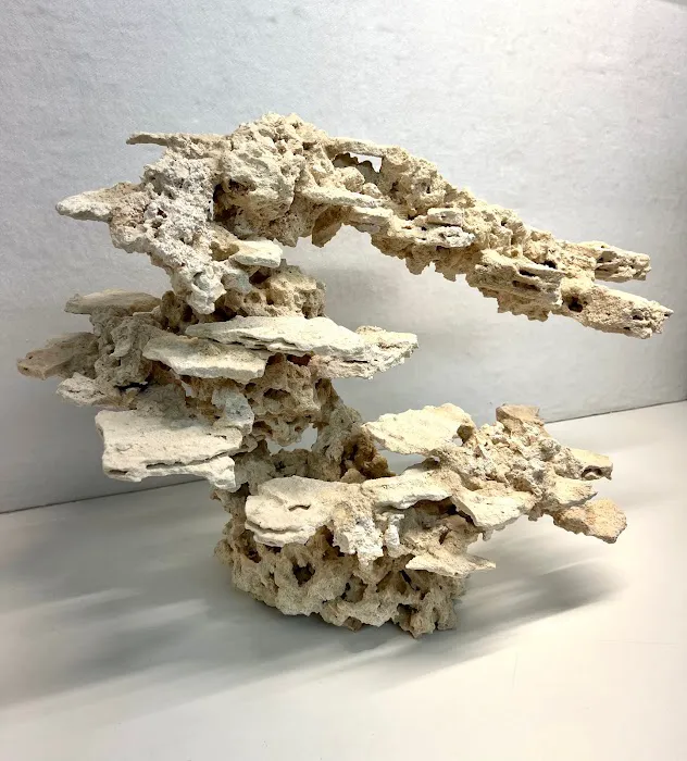 Reef Scape Designs Inc Picture 2