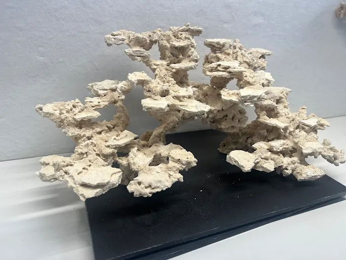 Reef Scape Designs Inc Picture 1