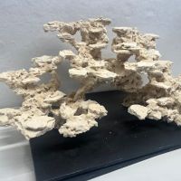 Reef Scape Designs Inc ico