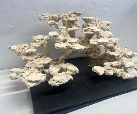 Reef Scape Designs Inc