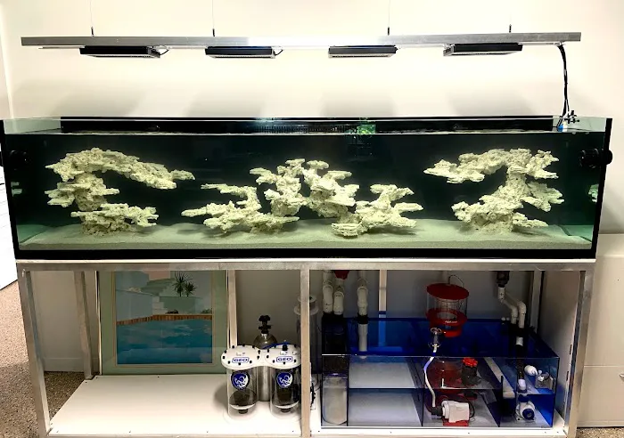 Reef Scape Designs Inc Picture 9