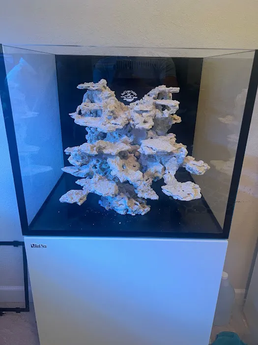 Reef Scape Designs Inc Picture 3