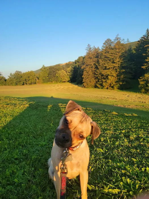 Cove Mountain Animal Hospital Picture 6