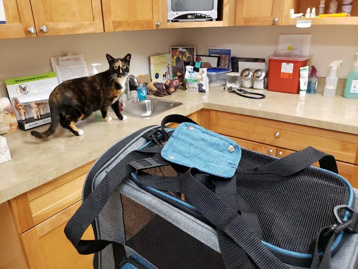 Cove Mountain Animal Hospital Picture 7
