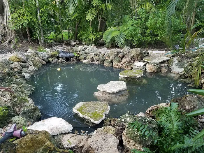 Pond Doctors Picture 3