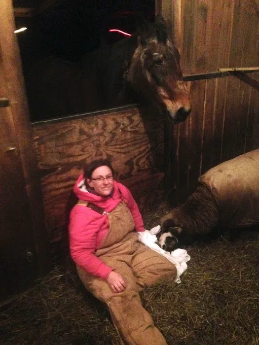 Juniata Veterinary Clinic Picture 2