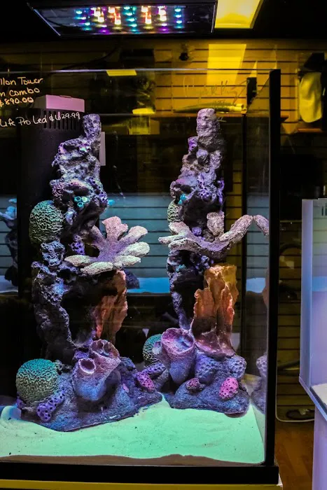 Reeftop Aquariums-Pet Boutique Picture 8