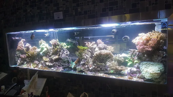 Reeftop Aquariums-Pet Boutique Picture 2