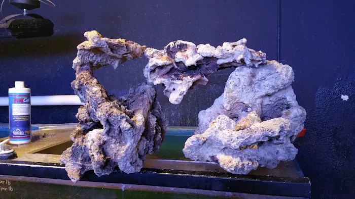 Reeftop Aquariums-Pet Boutique Picture 5