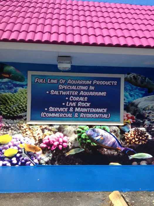 Reeftop Aquariums-Pet Boutique Picture 10