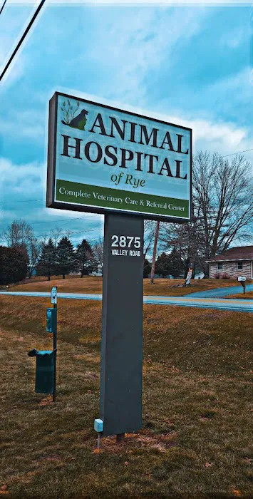 Animal Hospital of Rye Picture 6