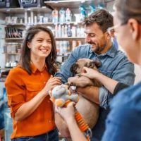 Pawcessories ico
