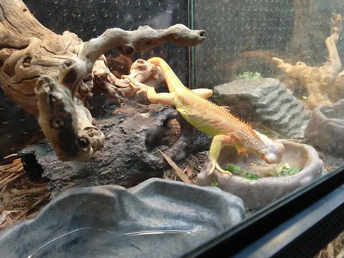 XYZReptiles Picture 1