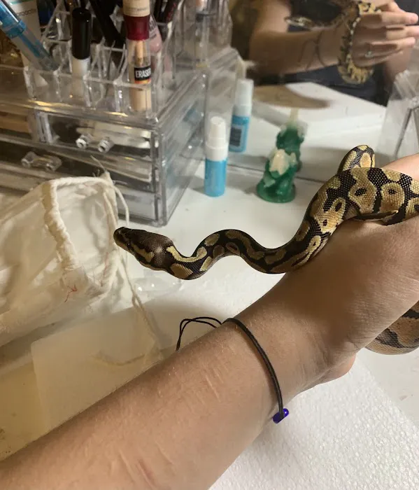 XYZReptiles Picture 4
