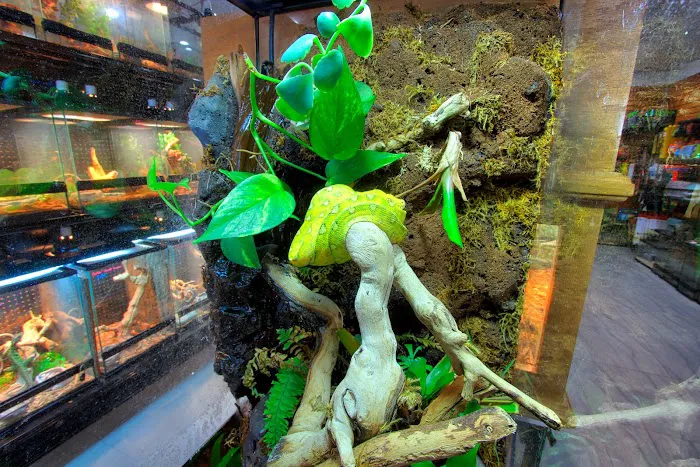 Miami Reptile Company Picture 8