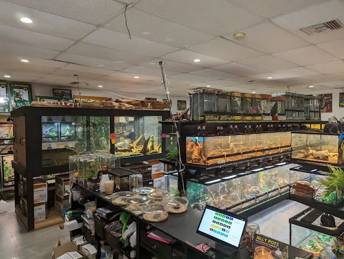 Miami Reptile Company Picture 1