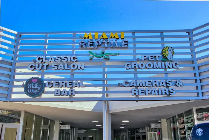 Miami Reptile Company Picture 2