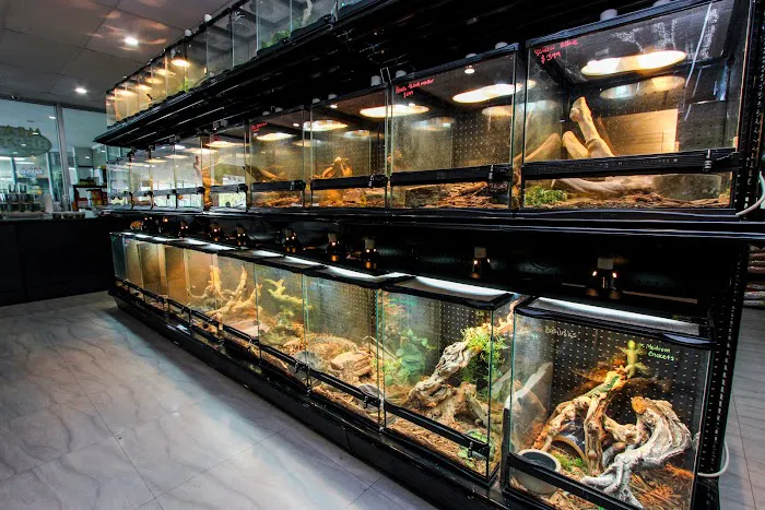 Miami Reptile Company Picture 5