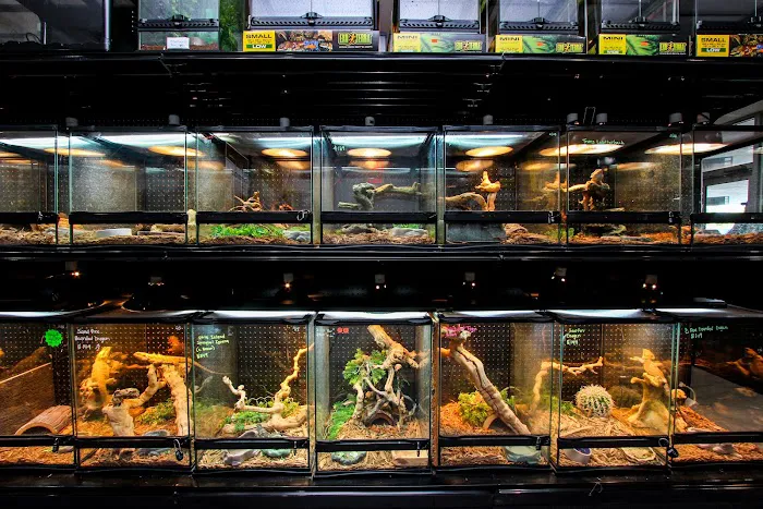 Miami Reptile Company Picture 10