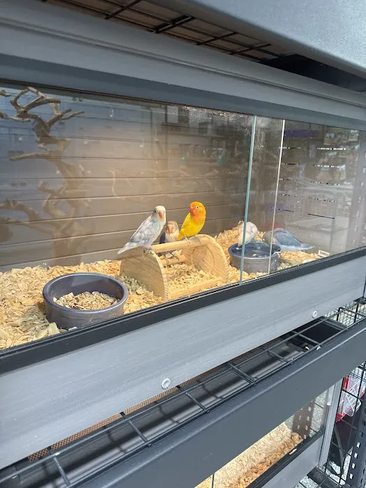 PETgrove Bird shop Picture 1