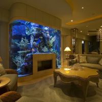 SeaVisions ico