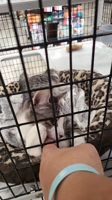 Pet Supermarket Picture 10
