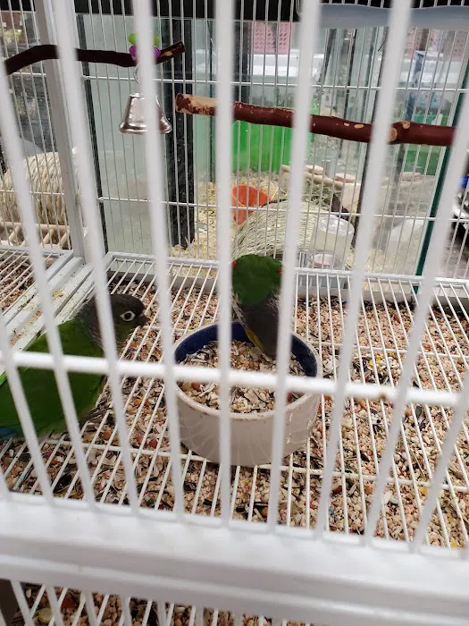 Pet Supermarket Picture 5