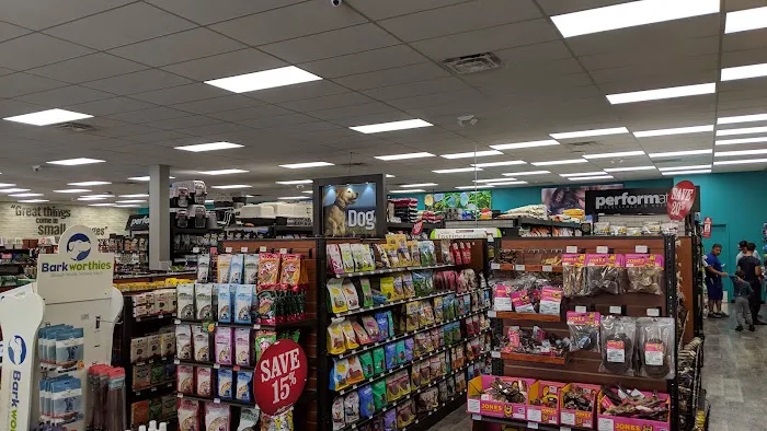 Pet Supermarket Picture 6