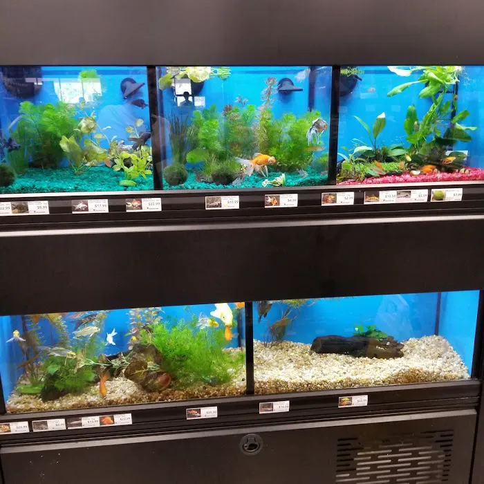 Pet Supermarket Picture 3
