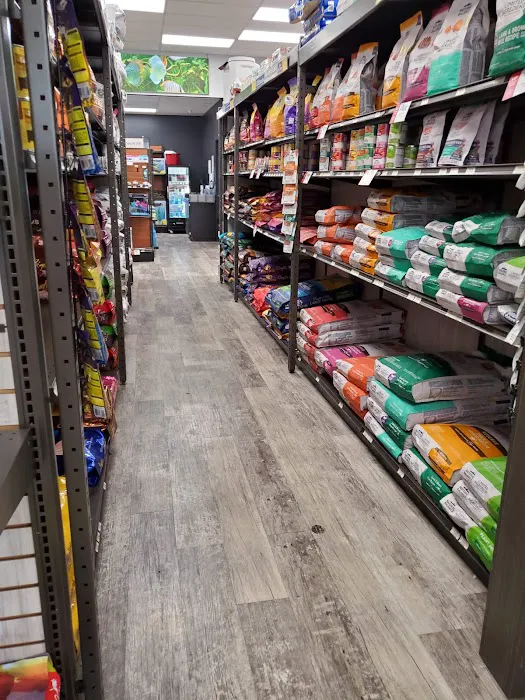 Pet Supermarket Picture 8