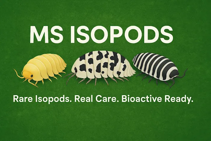 MSIsopods Picture 1