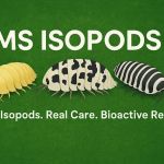 MSIsopods