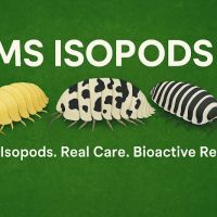MSIsopods ico