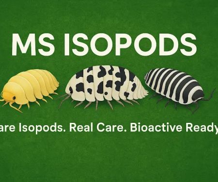 MSIsopods