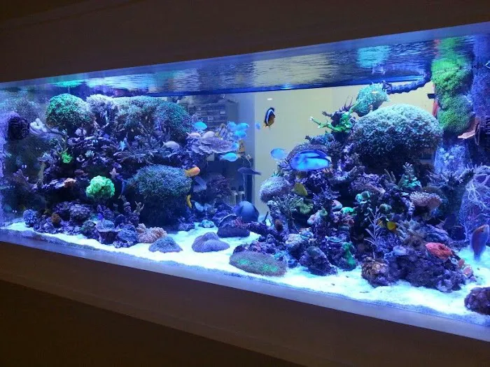Aqua Day Care Picture 3