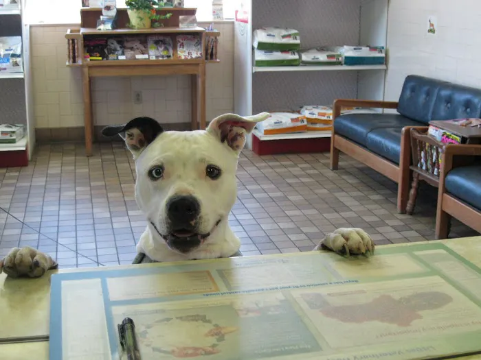 Little's Veterinary Hospital Picture 3