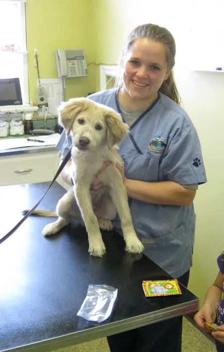 Little's Veterinary Hospital Picture 9