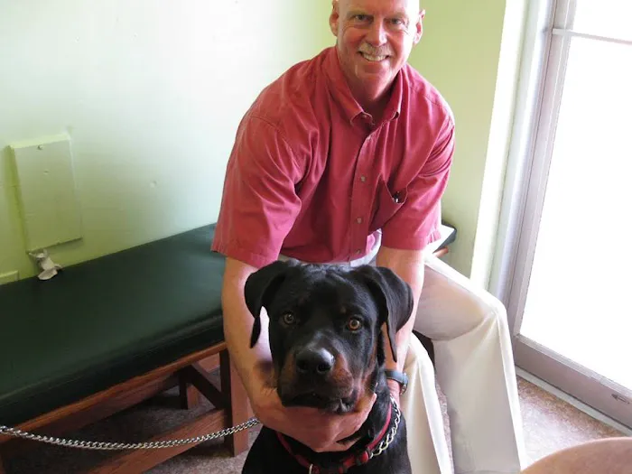 Little's Veterinary Hospital Picture 4