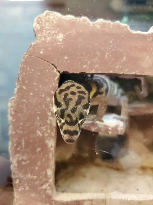 Petco Picture 1