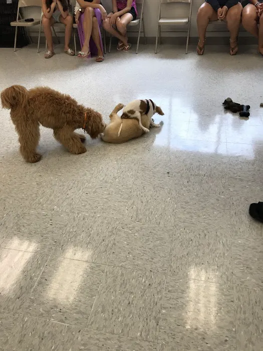 Petco Picture 2