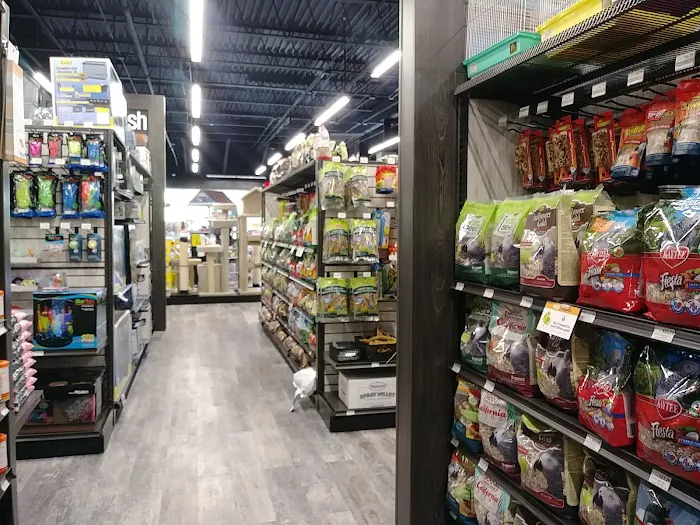 Pet Supermarket Picture 7
