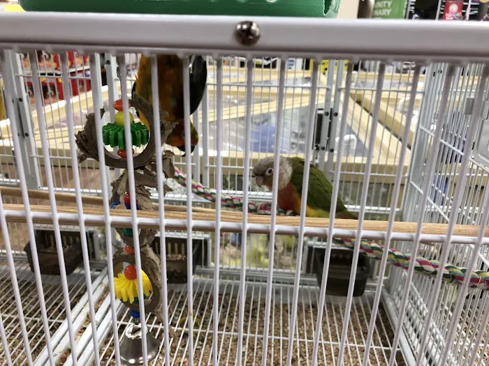 Pet Supermarket Picture 2