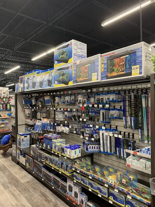 Pet Supermarket Picture 3