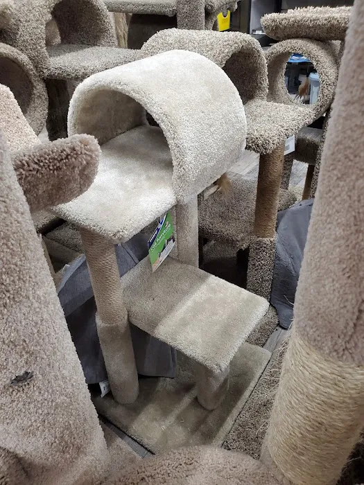 Pet Supermarket Picture 10