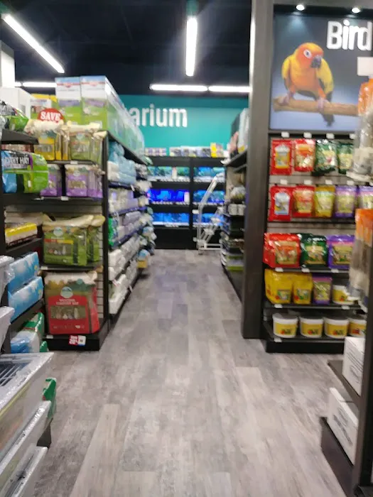 Pet Supermarket Picture 8