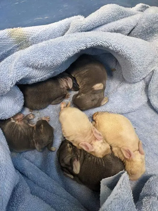 Williamsport West Veterinary Hospital Picture 1